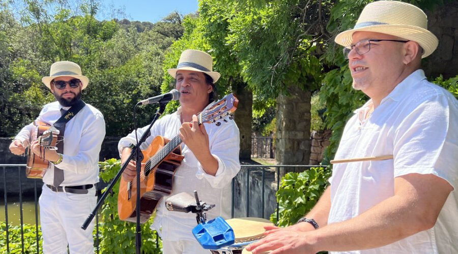 Cómo elegir la música en vivo para bodas: Consejos desde un directorio de artistas cubanos